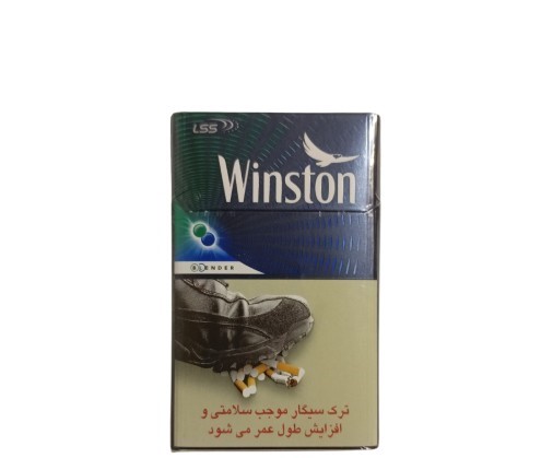 Winston Blender Double Mint Sigara (Mentol-Nane Aromalı)